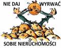 nieruchomosci
